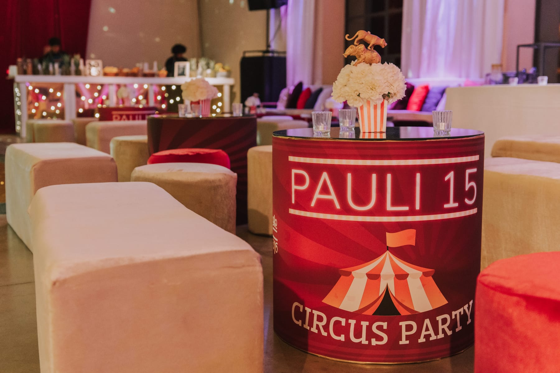 Fiesta de XV años ambientada por Cecilia Eriksson Eventos — vista 10